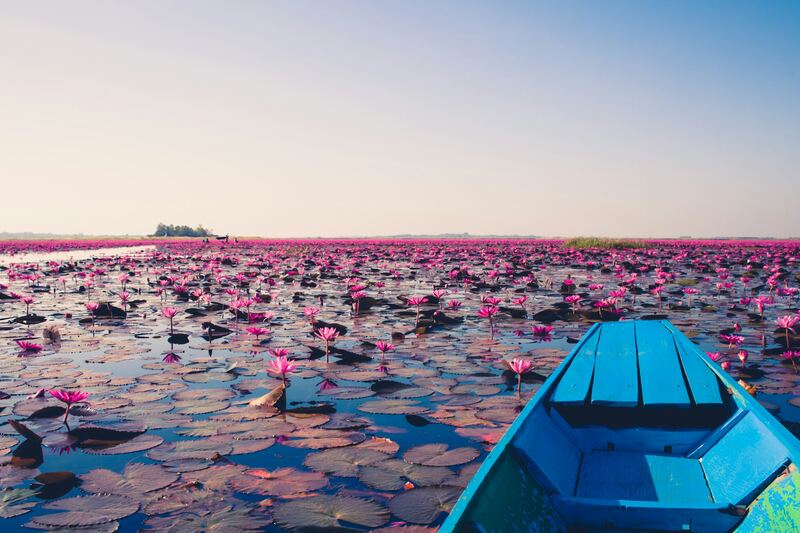 Boat on the Red Lotus Sea (Talay Bua Daeng), Udon Thani