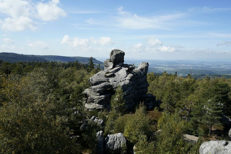 Sandstone rock formation in a forest (example photo)